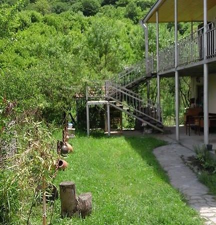 Marine'S Guest House Ananuri Kültér fotó