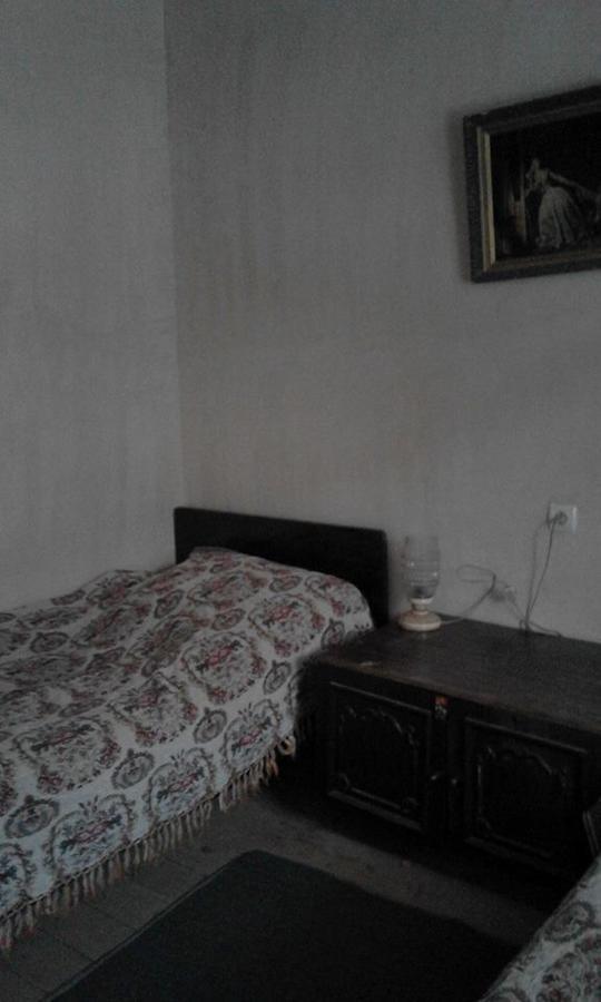 Marine'S Guest House Ananuri Kültér fotó