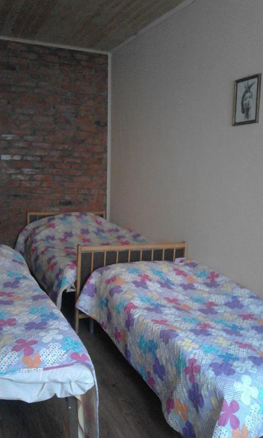 Marine'S Guest House Ananuri Kültér fotó