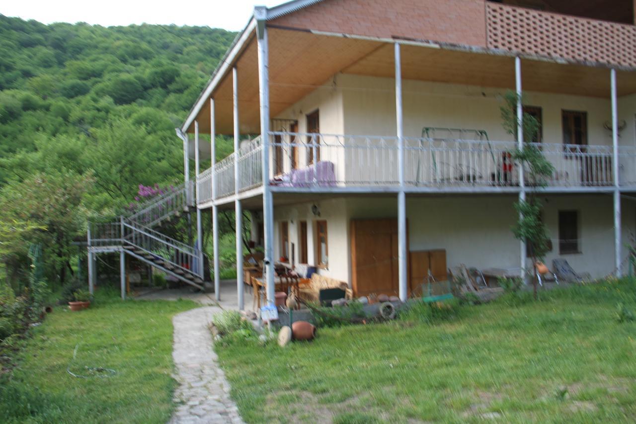 Marine'S Guest House Ananuri Kültér fotó