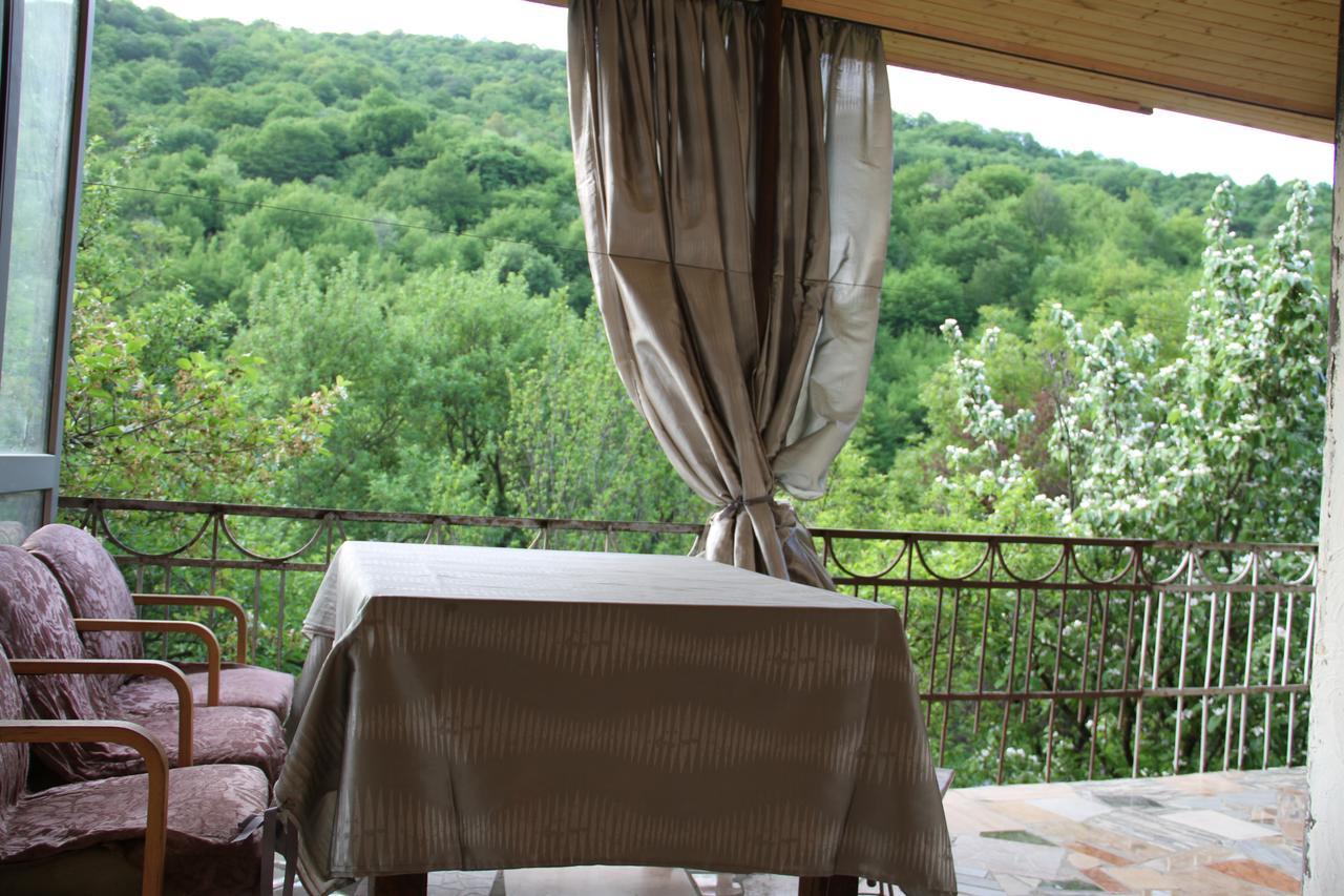 Marine'S Guest House Ananuri Kültér fotó