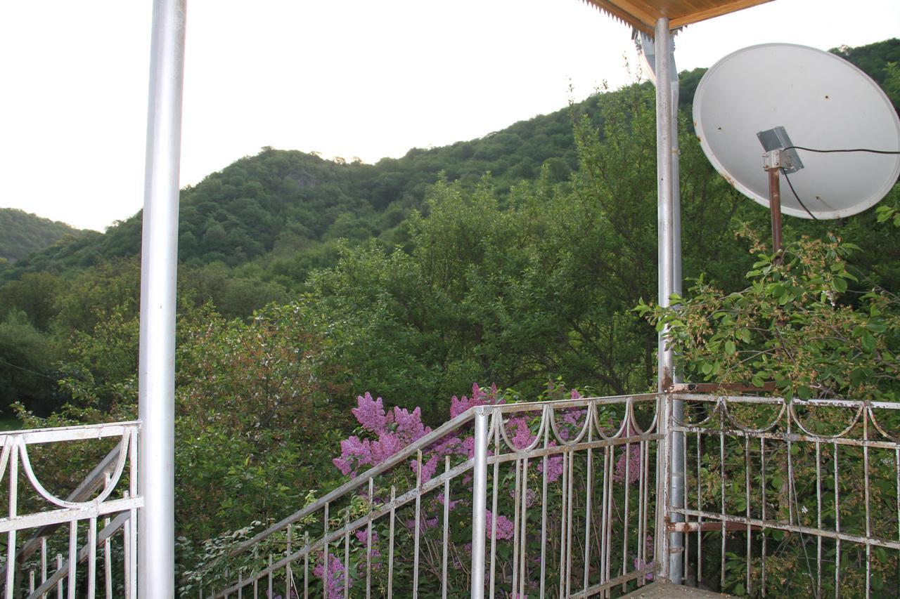 Marine'S Guest House Ananuri Kültér fotó